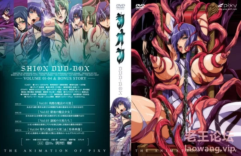 シオン DVD-BOX 2.jpg